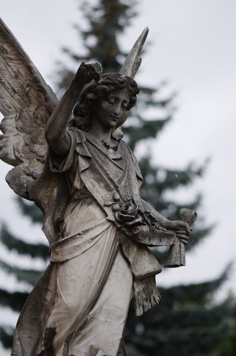 Bild: Auf Alten Friedhof zu Aichach mit der NIKON D300S und dem Objektiv AF-S Micro NIKKOR 105 mm 1:2,8G VR.