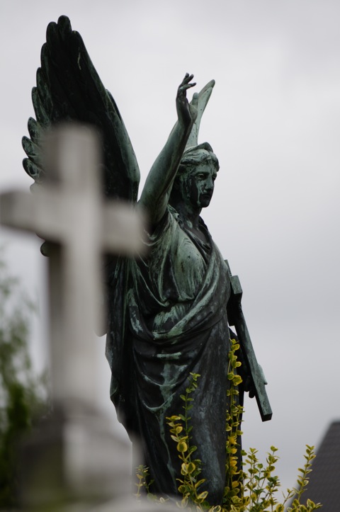 Bild: Auf Alten Friedhof zu Aichach mit der NIKON D300S und dem Objektiv AF-S Micro NIKKOR 105 mm 1:2,8G VR.