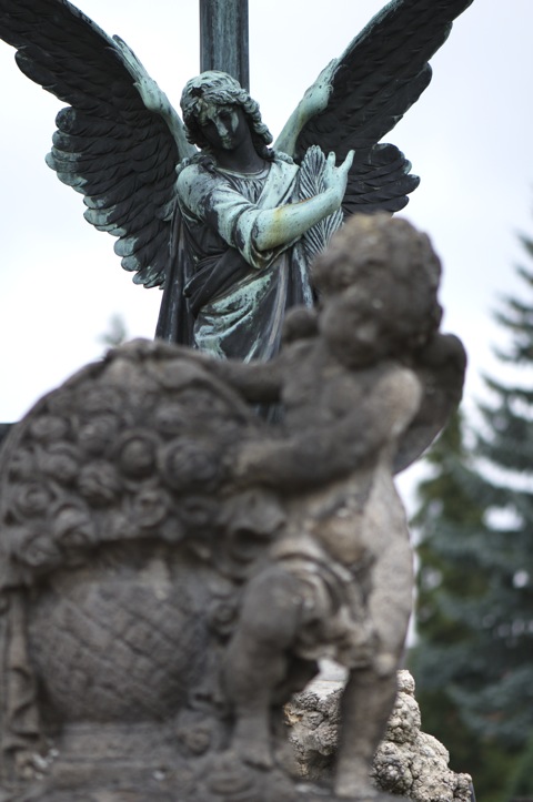 aichach_alter_friedhof_22Bild: Auf Alten Friedhof zu Aichach mit der NIKON D300S und dem Objektiv AF-S Micro NIKKOR 105 mm 1:2,8G VR.