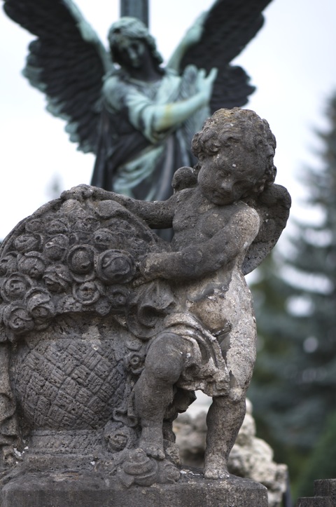 Bild: Auf Alten Friedhof zu Aichach mit der NIKON D300S und dem Objektiv AF-S Micro NIKKOR 105 mm 1:2,8G VR.