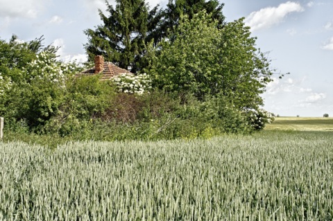 Bild: Dornröschens Haus zwischen Quenstedt und Aschersleben. NIKON D300s mit CARL ZEISS Distagon T* 2,8/25 ZF.