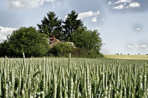 Bild: Dornröschens Haus zwischen Quenstedt und Aschersleben. NIKON D300s mit CARL ZEISS Distagon T* 2,8/25 ZF.