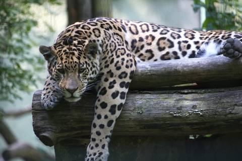 Bild: Impressionen aus dem Zoo Aschersleben.