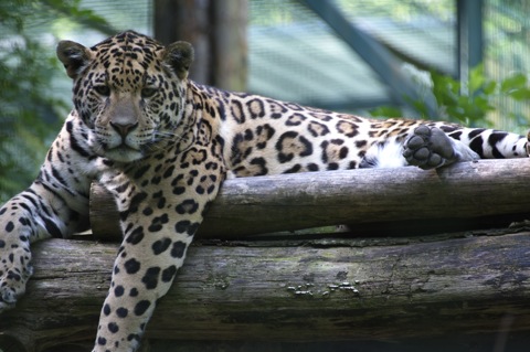 Bild: Impressionen aus dem Zoo Aschersleben.