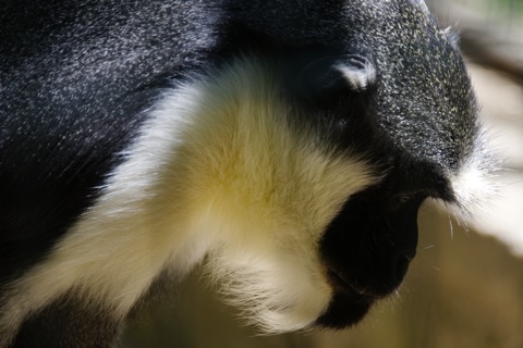 Bild: Impressionen aus dem Zoo Aschersleben.