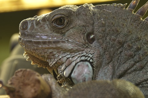 Bild: Impressionen aus dem Zoo Aschersleben.