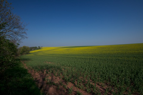 <br />Bild: Mit der Nikon D90 und dem Objektiv SIGMA 10-20mm F3.5 EX DC HSM unterwegs in den Rapsfeldern bei Bräunrode im Landkreis Mansfeld-Südharz. Das SIGMA 10-20mm F3.5 EX DC HSM war mit einem Polfilter von HOYA ausgestattet.