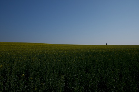 <br />Bild: Mit der Nikon D90 und dem Objektiv SIGMA 10-20mm F3.5 EX DC HSM unterwegs in den Rapsfeldern bei Bräunrode im Landkreis Mansfeld-Südharz. Das SIGMA 10-20mm F3.5 EX DC HSM war mit einem Polfilter von HOYA ausgestattet.