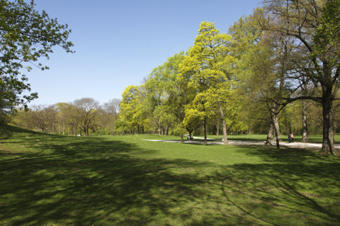 Bild: Frühling im Englischen Garten.