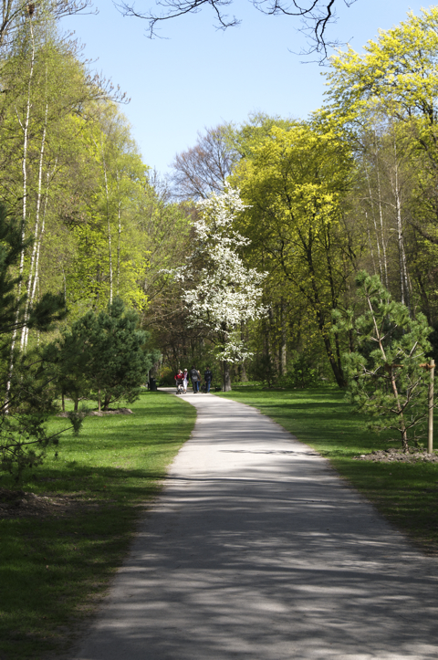 Bild: Im Englischen Garten.