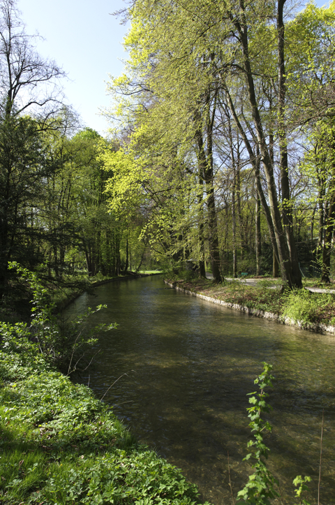 Bild: Im Englischen Garten.