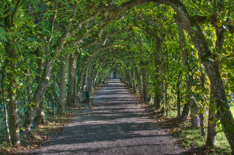 Bild: Die Arkaden im Hofgarten des Schlosses zu Dachau als HDR.