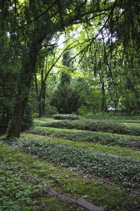 Bild: Auf dem KZ-Friedhof Leitenberg bei Dachau.