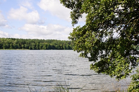 Bild: In der Gegend um Filipow zwischen Suwalki und Mragowo. Die ländlich geprägte Gegend entspricht am Ehesten dem, was wir uns Ostpreußen vorstellen.