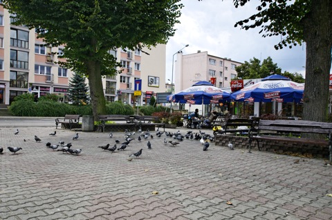 Bild: Im Zentrum von Gryfino - Greifenhagen.