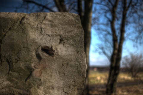 Bild: Der Hoyerstein bei Welfesholz.