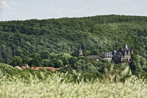 Bild: Schloss Rammelburg im Harz. NIKON D700 mit SIGMA 150-500mm F5,0-6,3 DG OS HSM ¦¦ ISO200 ¦ f/16 ¦ 1/100 s ¦ -1.0 EV ¦ FX 200 mm.