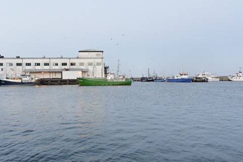 Bild: Der Fischkutter STERNHAI bei der Einfahrt in den Stadthafen von Sassnitz und beim anschließenden Entladen. NIKON D700 mit CARL ZEISS Distagon T* 1,4/35 ZF.2.