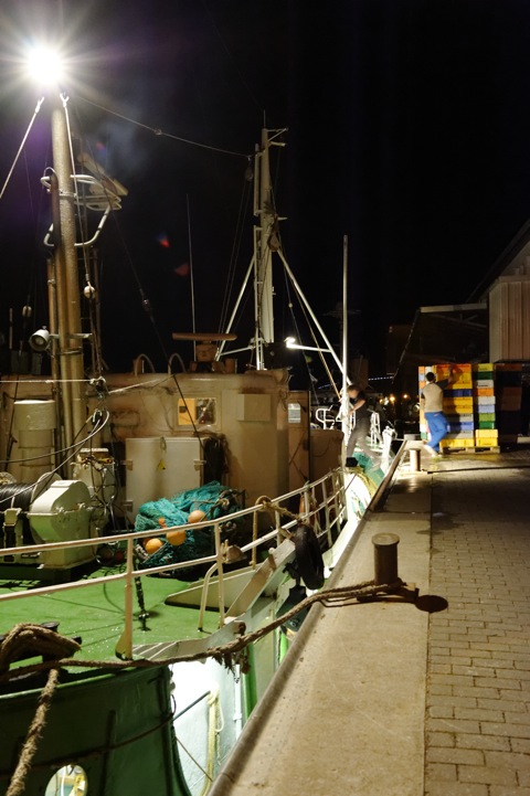 Bild: Der Fischkutter STERNHAI bei der Einfahrt in den Stadthafen von Sassnitz und beim anschließenden Entladen. NIKON D700 mit CARL ZEISS Distagon T* 1,4/35 ZF.2.