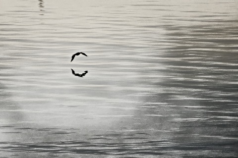 Bild: Impressionen aus dem Stadthafen von Sassnitz am Abend mit NIKON D700 und AF-S NIKKOR 28-300 mm 1:3,5-5,6G ED VR.