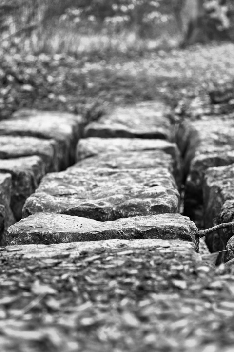 Bild: Step Stones - Steine über einen Wasserlauf am Sisi-Schloss. NIKON D700 mit AF-S NIKKOR 28-300 mm 1:3,5-5,6G ED VR ¦¦ ISO200 ¦ f/5 ¦ 1/50 s ¦ 90 mm.