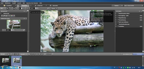 Bild: Die Bildbearbeitungssoftware DxO Optics Pro auf einem Windows 7 Netbook SONY VPCP11S1E.