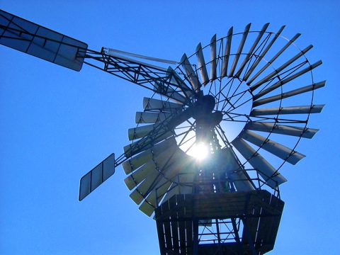 Bild: Windrad auf dem Mönchgut - Insel Rügen.
