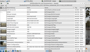 Bild: Geeqie hat auch einen leistungsfähigen Editor für EXIF Dateien.