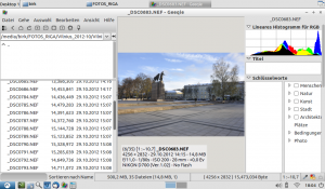 Bild: Bei Geeqie können diverse Informationen über ein Foto abgerufen werden. Hier ist es das zur Beurteilung eines Fotos wichtige Histogramm.