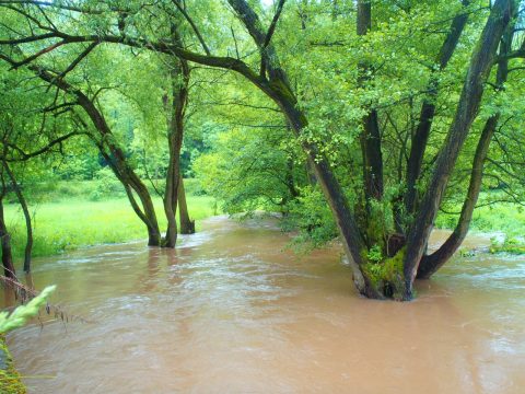 Hochwasser an der Wipper zwischen Biesenrode und Vatterode im Harz nach einem Frühlingsgewitter mit OLYMPUS µTough-6020.