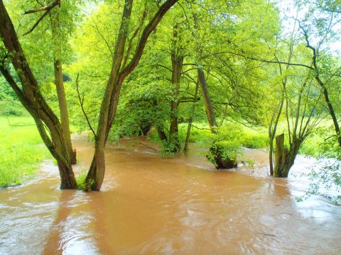 Hochwasser an der Wipper zwischen Biesenrode und Vatterode im Harz nach einem Frühlingsgewitter mit OLYMPUS µTough-6020.