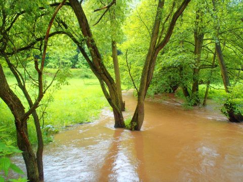 Hochwasser an der Wipper zwischen Biesenrode und Vatterode im Harz nach einem Frühlingsgewitter mit OLYMPUS µTough-6020.