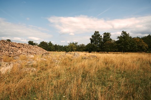 Bild: Die Ruinen der Burg Ismantorp auf der Insel Öland. NIKON D700 und AF-S NIKKOR 24-120 mm 1:4G ED VR.