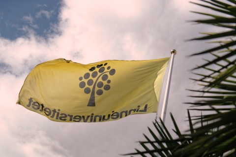 Bild: Palmen und die Flagge der Linné-Universität - das gehört irgendwie zusammen. An der Linné-Universität in Kalmar. NIKON D700 mit AF-S NIKKOR 24-120 mm 1:4G ED VR.