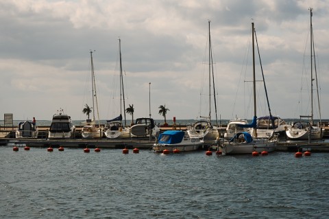 Bild: Unterwegs im Hafen von Mörbylånga auf der Insel Öland. Das vergleichsweise milde Klima auf der Insel Öland lässt sogar Palmen wachsen. NIKON D700 und AF-S NIKKOR 24-120 mm 1:4G ED VR.