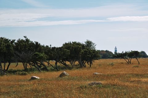 Bild: Der Leuchtturm Långe Jan an der Südspitze der Insel Öland mit NIKON D700 und AF-S NIKKOR 24-120 mm 1:4G ED VR.