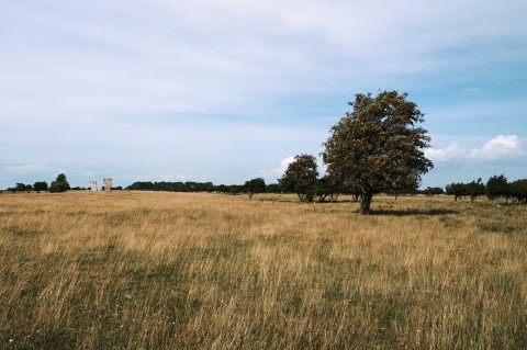 Bild: Die Kungsstenarna bei Ottenby in der Stora Alvaret auf der Insel Öland mit NIKON D700 und AF-S NIKKOR 24-120 mm 1:4G ED VR.