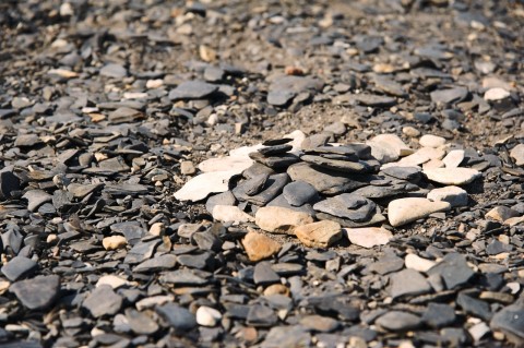 Bild: Am Strand in der Nähe des Leuchtturms Långe Jan an der Südspitze der Insel Öland mit NIKON D700 und AF-S NIKKOR 24-120 mm 1:4G ED VR.