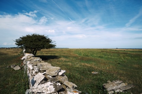 Bild: Landschaft bei Ottenby in der Stora Alvaret auf der Insel Öland mit NIKON D700 und AF-S NIKKOR 24-120 mm 1:4G ED VR.