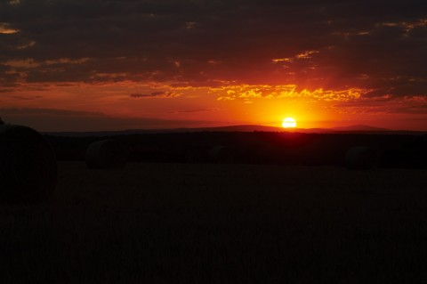 Bild: Sonnenuntergang auf dem Windmühlskopf zwischen Greifenhagen und Bräunrode. NIKON D700 und AF-S NIKKOR 24-120 mm 1:4G ED VR.