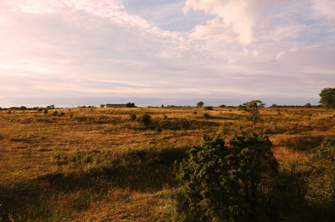 Bild: From a Distance - Abendstimmung am Schloss Borgholm auf der Insel Öland. NIKON D700 und AF-S DX NIKKOR 18-200 mm 1:3.5-5.6G ED VR Ⅱ.