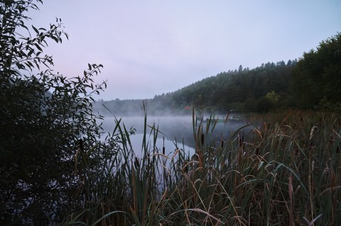 Bild: Morgenstimmung am Königeröder Teich. NIKON D700 und AF-S NIKKOR 24-120 mm 1:4G ED VR. ISO 1600 ¦ f/7,1 ¦ 24 mm ¦ 1/20 s ¦ kein Blitz. Klicken Sie auf das Bild um es zu vergrößern.