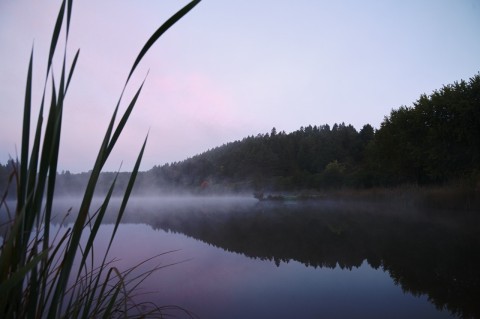 Bild: Morgenstimmung am Königeröder Teich. NIKON D700 und AF-S NIKKOR 24-120 mm 1:4G ED VR. ISO 800 ¦ f/7,1 ¦ 24 mm ¦ 1/15 s ¦ kein Blitz. Klicken Sie auf das Bild um es zu vergrößern.