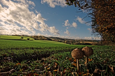 Bild: Herbsstimmung an der Kuppenburg bei Bräunrode im Landkreis Mansfeld-Südharz. NIKON D700 und CARL ZEISS Distagon T* 3.5/18 ZF.2. ISO 200 ¦ f/11 ¦ 18 mm ¦ 1/640 s ¦ kein Blitz. Klicken Sie auf das Bild um es zu vergrößern.