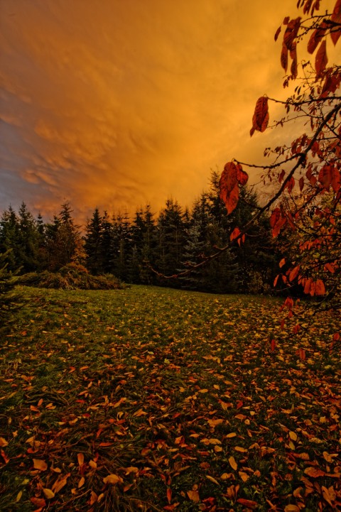 Bild: Nach dem Sturm - herbstlicher Sonnenuntergang im Unterharz bei Greifenhagen. NIKON D700 und CARL ZEISS Distagon T* 3.5/18 ZF.2. ISO 200 ¦ f/11 ¦ 18 mm ¦ 1/20 s ¦ kein Blitz. Klicken Sie auf das Bild um es zu vergrößern.