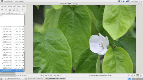 Bild: Und auch GEEQIE läuft problemlos mit dem MATE Desktop unter openSuSE 12.3 auf dem Acer Aspire One 756.