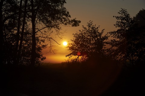 Bild: Sonnenaufgang am Vatteröder Teich bei Mansfeld. NIKON D700 und AF-S NIKKOR 24-120 mm 1:4G ED VR.
