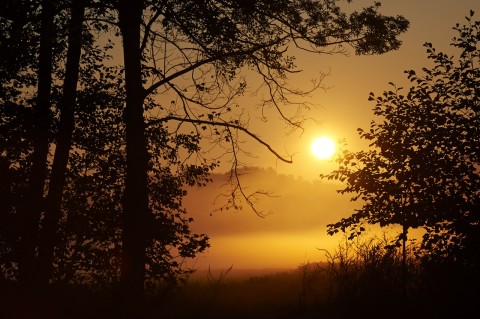 Bild: Sonnenaufgang am Vatteröder Teich bei Mansfeld. NIKON D700 und AF-S NIKKOR 24-120 mm 1:4G ED VR.