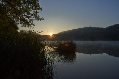 Bild: Sonnenaufgang am Vatteröder Teich bei Mansfeld. NIKON D700 und AF-S NIKKOR 24-120 mm 1:4G ED VR.