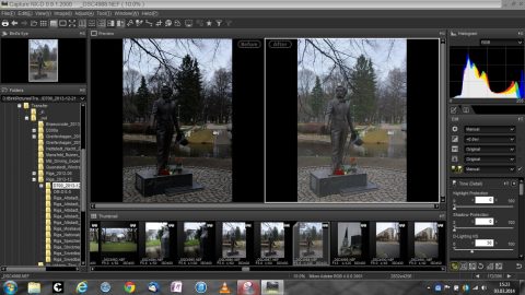 Bild: Das Foto von der Statue von Alexander Puschkin im Kronvalda Parks in Riga wurde wegen der schwierigen Lichtverhältnisse dunkler belichtet. Das vermeidet ausgefranste Lichter. Schatten und Licht lassen sich in Capture NX-D nachträglich korrigieren. Klicken Sie auf das Bild um es zu vergrößern.